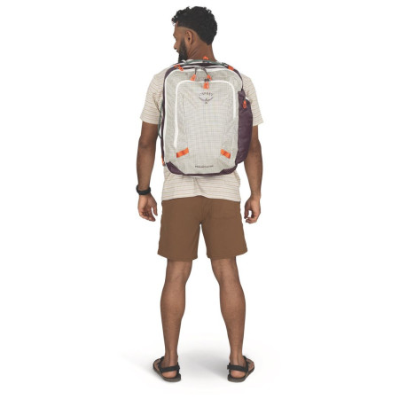 Пътна раница Osprey Transporter Travel Pack 36