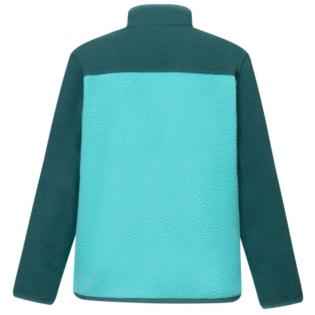 Детски функционален суитшърт Regatta Junior Frankie Warm Fleece Mediterranea/Turquoise