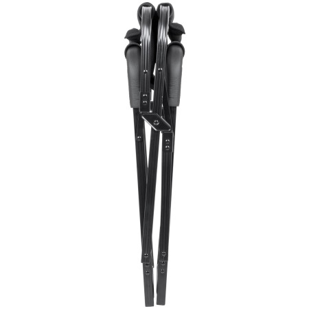 фотьойл Brunner Aravel Director 3D