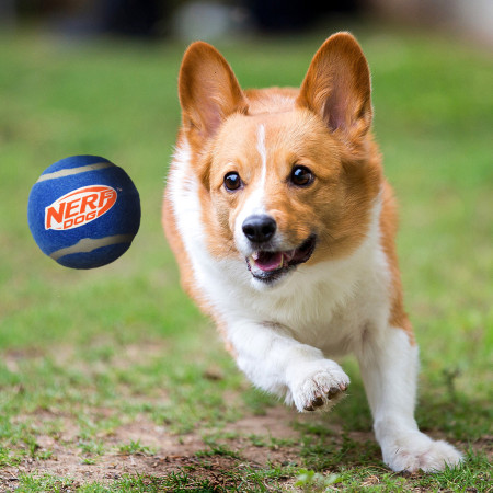 Играчка за куче Nerf Dog Squeak Tennis Ball 3 pcs