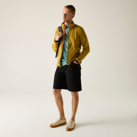 Мъжки суитшърт Regatta Malton