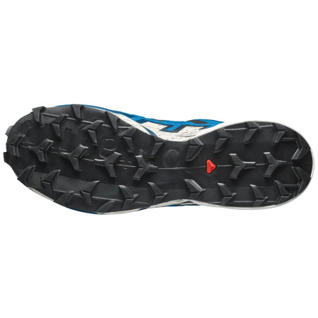 Мъжки обувки за бягане Salomon Speedcross 6 Gore-Tex