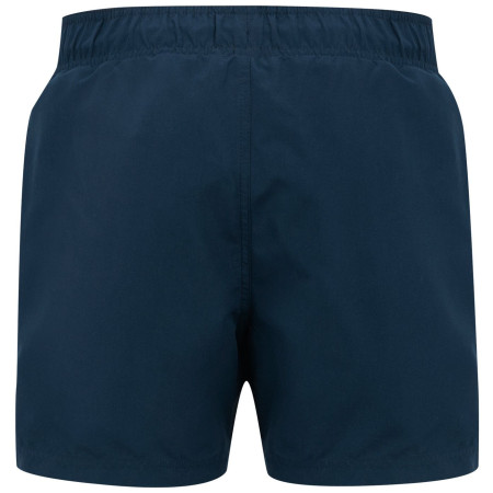 Мъжки бански Regatta Mawson Swim Shorts III