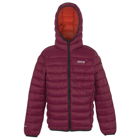 Детско яке Regatta Junior Hooded Marizion