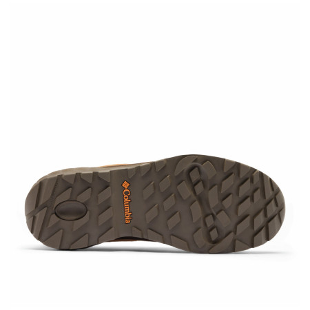 Мъжки обувки Columbia Newton Alpine™ Low