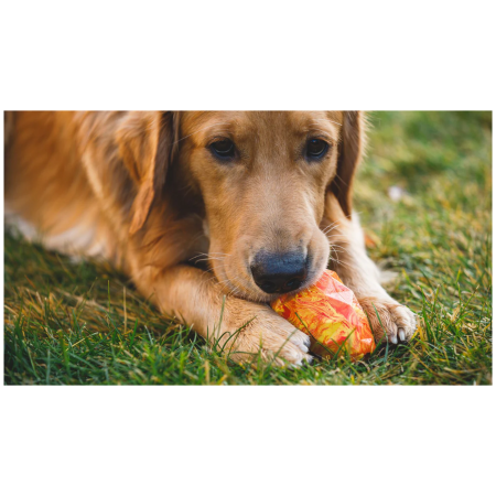 Играчка за куче Ruffwear Gnawt-a-Cone™ Toy