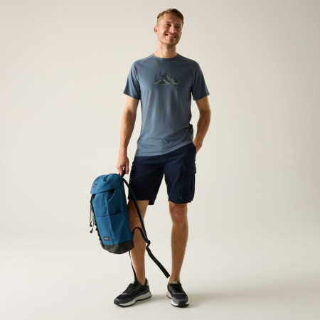 Мъжки къси панталони Regatta Bendrick Shorts