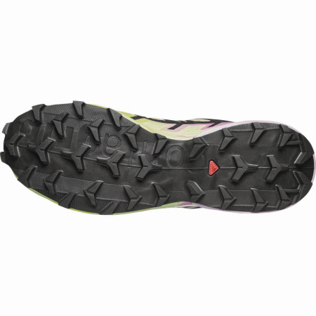 Дамски обувки Salomon Speedcross 6 Gore-Tex
