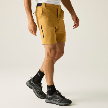 Мъжки къси панталони Regatta Anti-Insect Travel Light Shorts