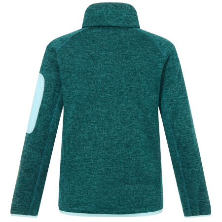 Детски суитшърт Regatta Junior Newhill DrkForGlacGr
