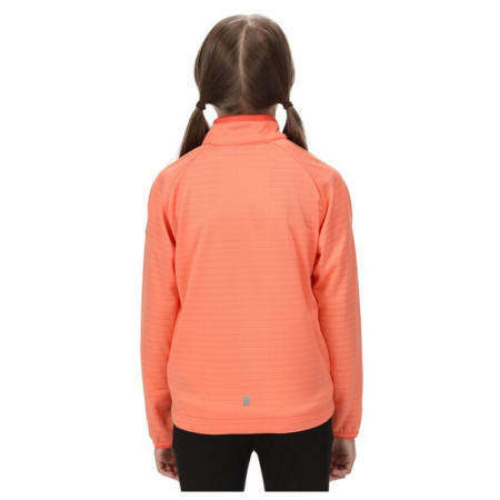 Детски суичър Regatta Jnr Highton LteII