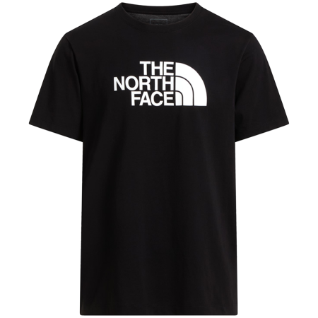 Мъжка тениска The North Face Evolution Half Dome Regular Short Slee