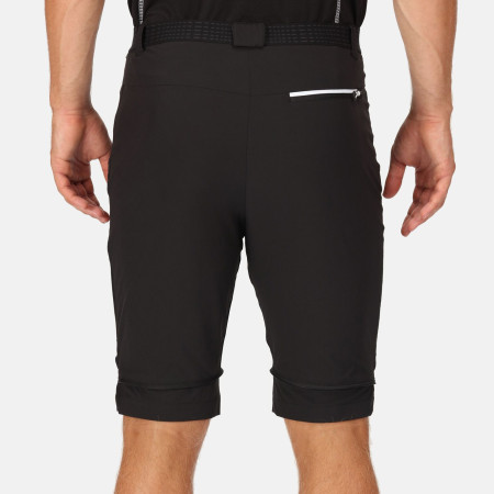 Мъжки панталони Regatta Mountain Z/O Trs