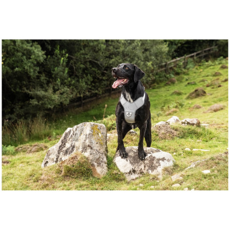 Нагръдник за куче Mountain Paws Reflective Dog Harness