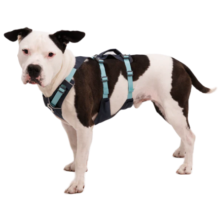 Нагръдник за куче Ruffwear Flagline™ Harness