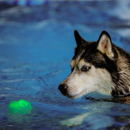 Играчка за куче Nite Ize GlowStreak Wild LED Ball
