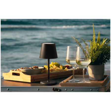 Фенер Brunner Lucien