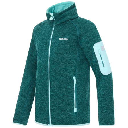 Детски суитшърт Regatta Junior Newhill DrkForGlacGr