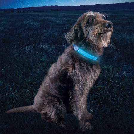 Светещ нашийник за куче Nite Ize NiteDog® Rechargeable LED Collar Cover