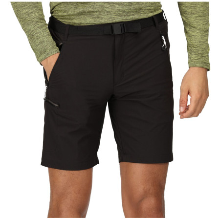 Мъжки къси панталони Regatta Xert Stretch Shorts III