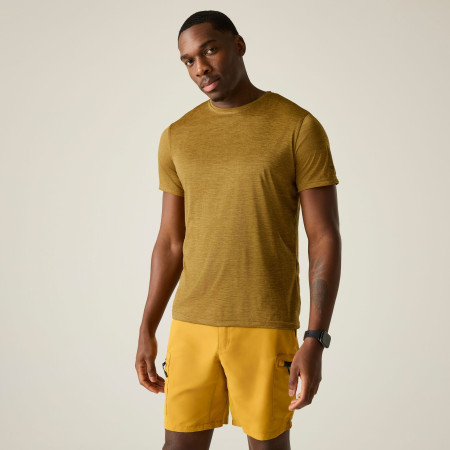 Мъжка тениска Regatta Fingal Edition