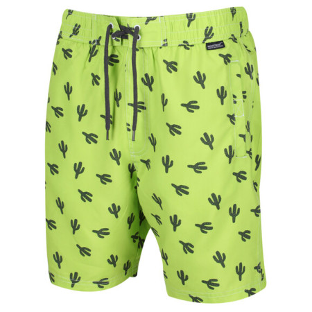 Мъжки къси панталони Regatta Hadden BdShort II жълт Electriclim