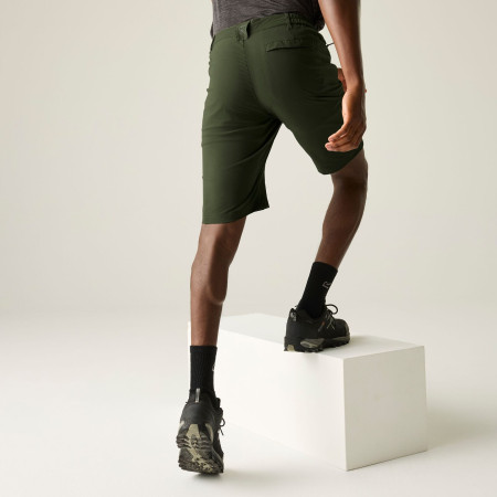 Мъжки къси панталони Regatta Highton Shorts Long II