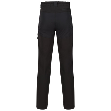 Мъжки панталони Regatta Questra V