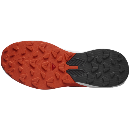 Мъжки трекинг обувки Salomon Pulsar