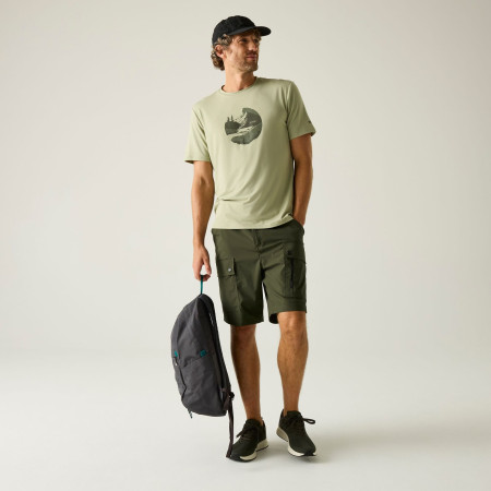 Мъжки къси панталони Regatta Arlery Shorts