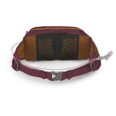 Чанта за кръста Osprey Seral 4