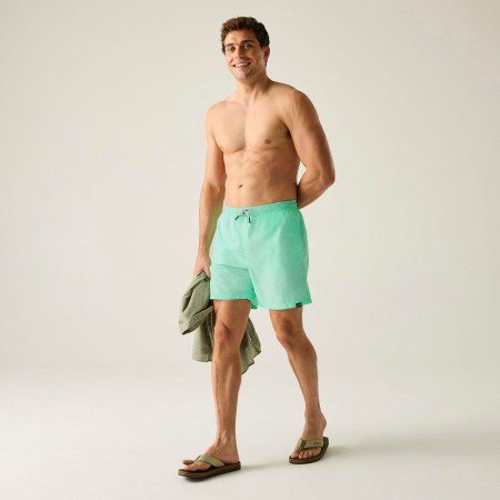 Мъжки къси панталони Regatta Mackleyna Swim Short
