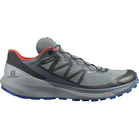 Мъжки обувки за бягане Salomon Sense Ride 4 Invisible Gtx сив
