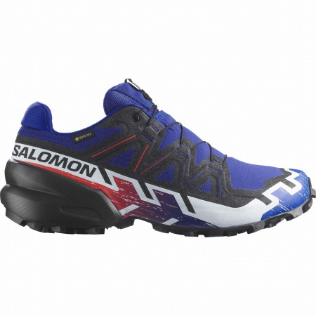 Мъжки обувки Salomon Speedcross 6 Gore-Tex Equipe
