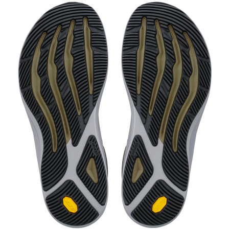 Мъжки обувки за бягане Altra Torin 9 Gtx