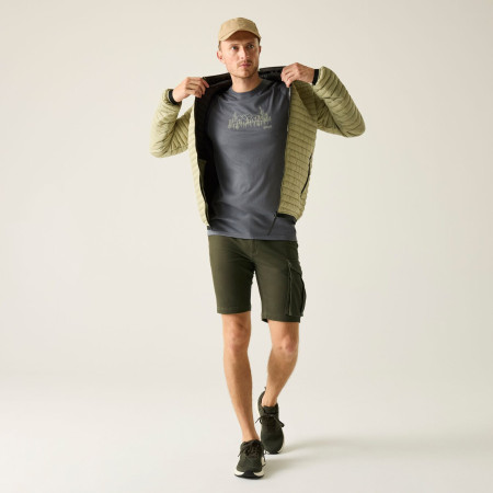 Мъжки къси панталони Regatta Bendrick Shorts