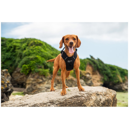 Нагръдник за куче Mountain Paws Dog Harness