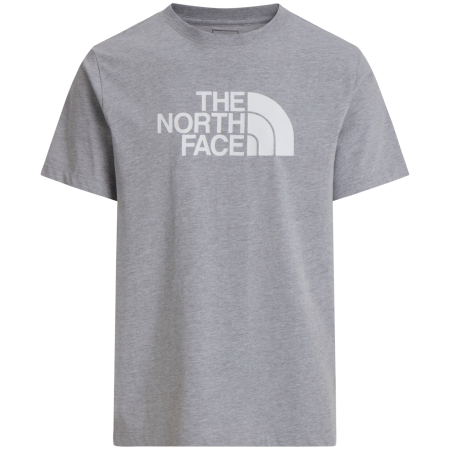 Мъжка тениска The North Face Evolution Half Dome Regular Short Slee