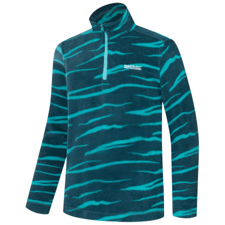 Детски суитшърт Regatta Hot Shot II MeditZebra