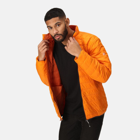 Мъжко яке Regatta Hillpack