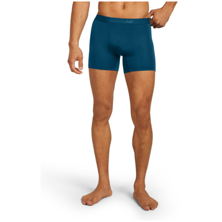 Мъжки боксерки Icebreaker M Mer 125 Cool-Lite Anatomica Boxers