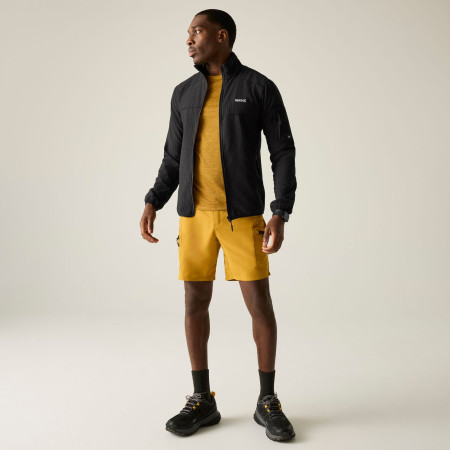 Мъжки суитшърт Regatta Baslinn