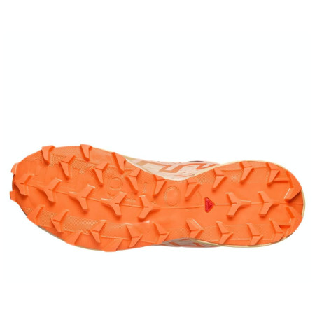Дамски обувки за бягане Salomon Speedcross 6