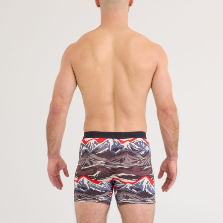 Боксерки Saxx Vibe Xtra Soft Comfort Boxer Brief Fly