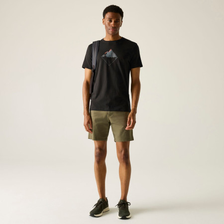 Мъжка тениска Regatta Breezed