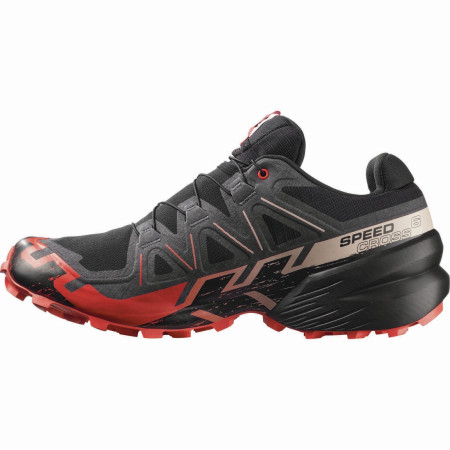 Мъжки обувки за бягане Salomon Speedcross 6 Gore-Tex