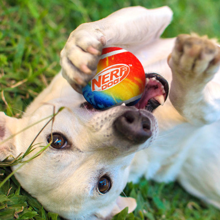 Играчка за куче Nerf Dog Blaster + Tennis Balls 2 pcs