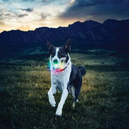 Играчка за куче Nite Ize Glowstreak LED Ball