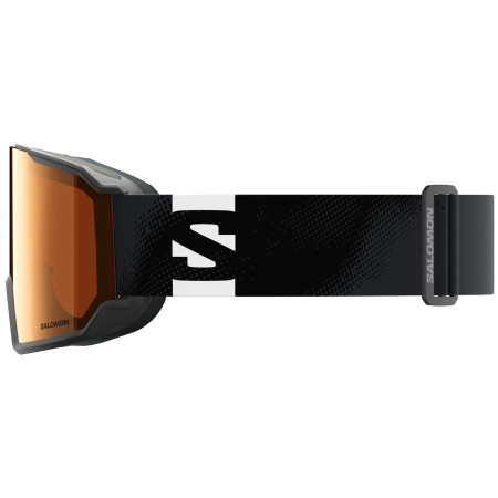Ски очила Salomon S/VIEW 3 Access