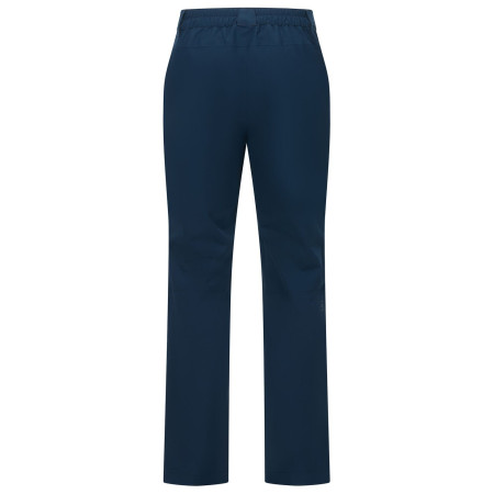 Мъжки панталони Regatta Highton WP Trousers